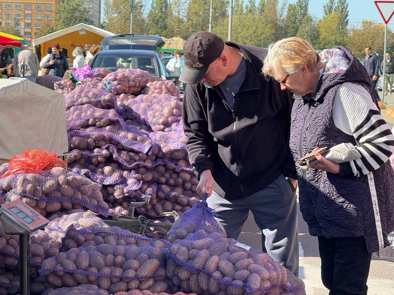В Бресте стартовали сельскохозяйственные ярмарки
