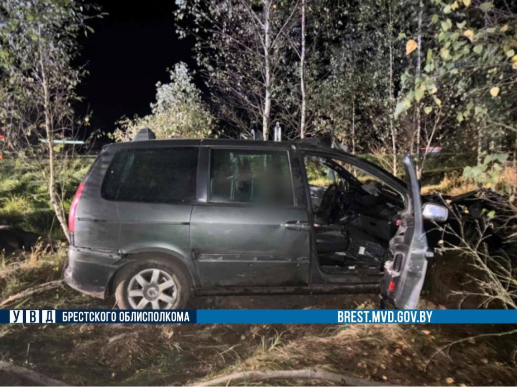 В Брестской области «Peugeot» врезался в лося