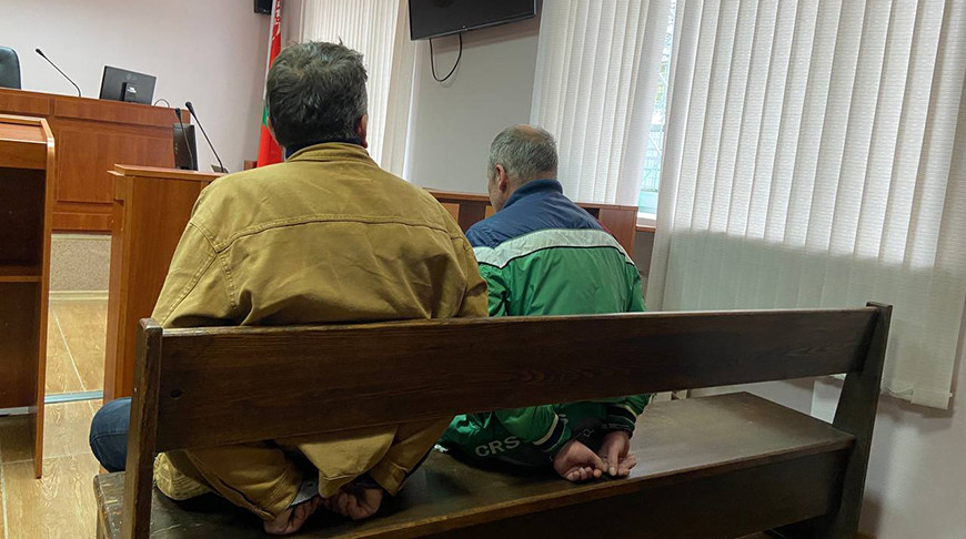 В Беларуси суд вынес приговор мужчинам, таскавшим оленя в зоопарке за рога