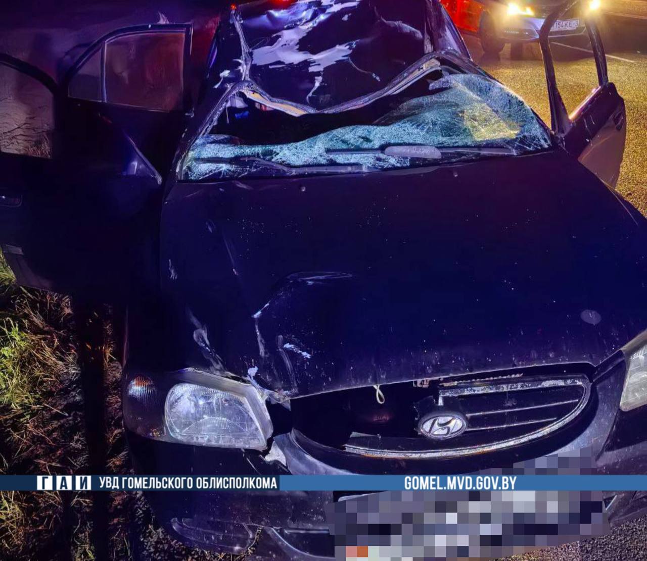 Лось выбежал на трассу: погиб пассажир