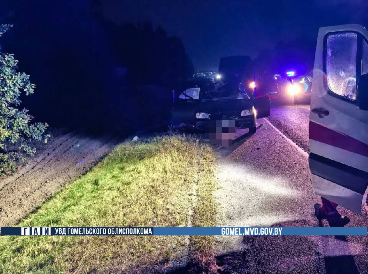 Лось выбежал на трассу: погиб пассажир