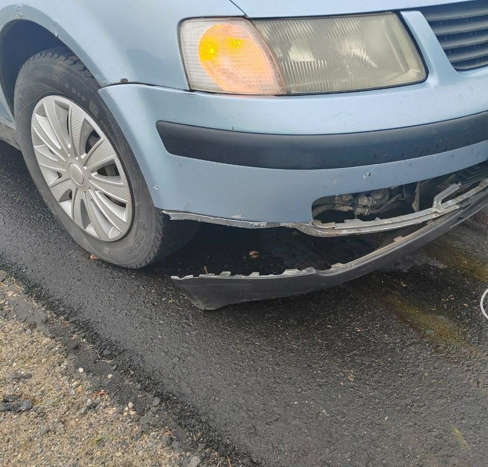 В Ляховичском районе под колёса авто выбежала косуля