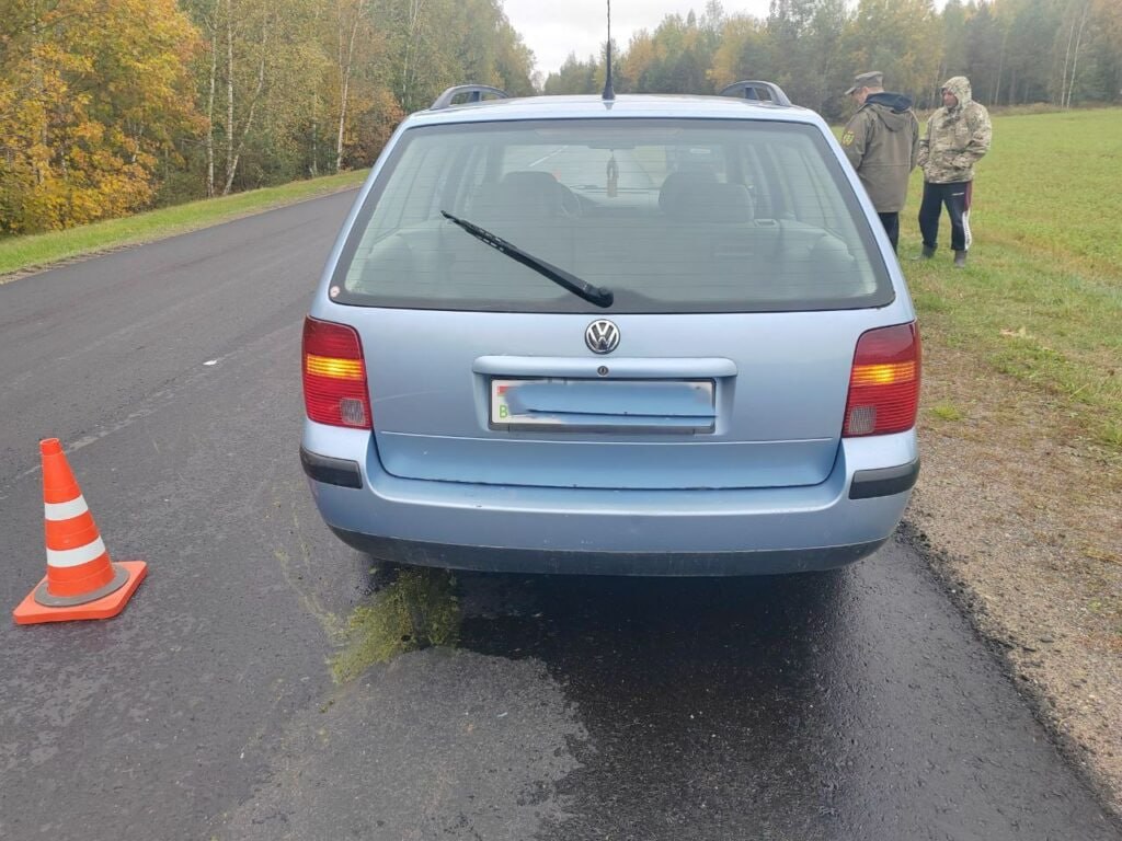 В Ляховичском районе под колёса авто выбежала косуля