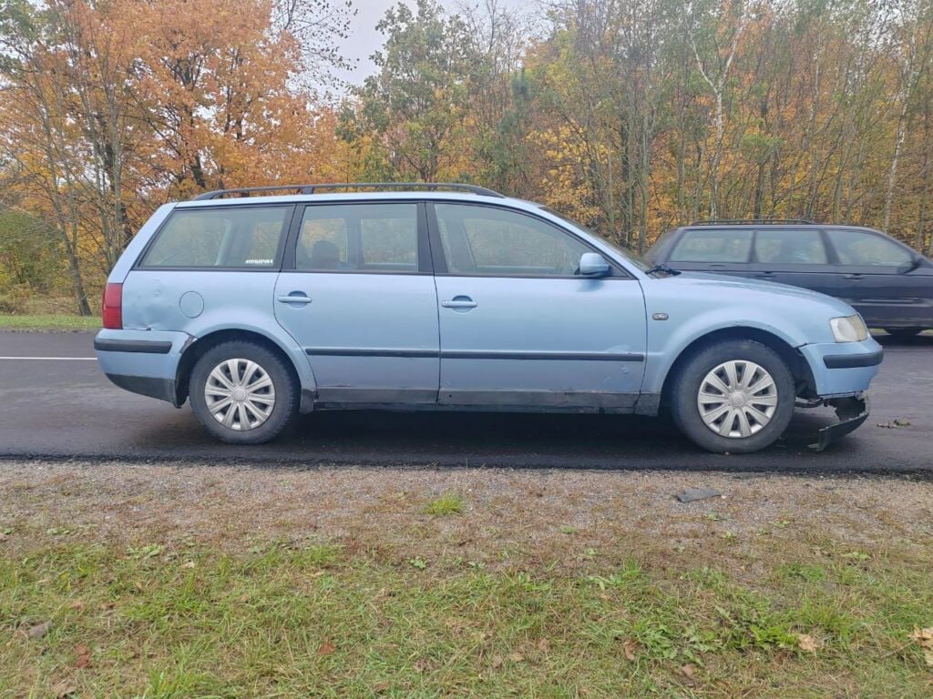 В Ляховичском районе под колёса авто выбежала косуля