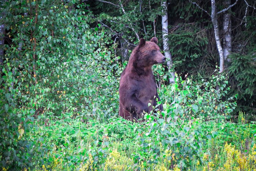 Фото из открытых источников (иллюстративное)