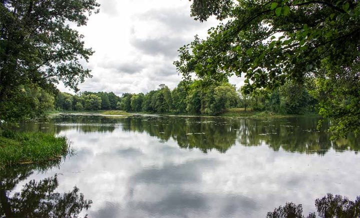 Фото из открытых источников (иллюстративное)