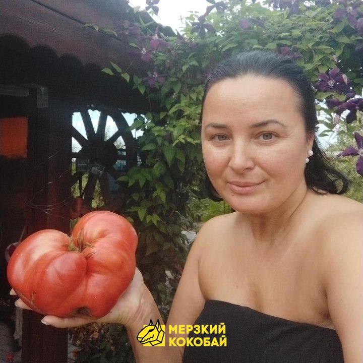 Помидор весом в килограмм! И это не предел − белорусы хвастаются гигантскими дарами лета