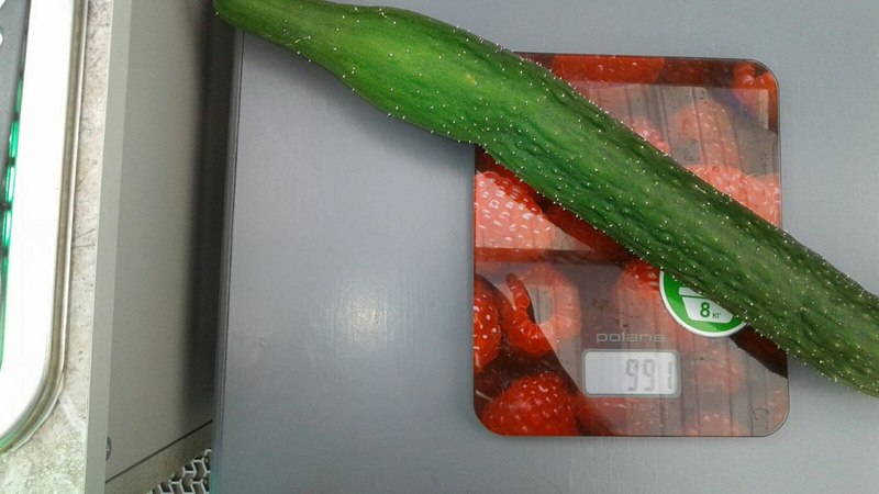 Помидор весом в килограмм! И это не предел − белорусы хвастаются гигантскими дарами лета