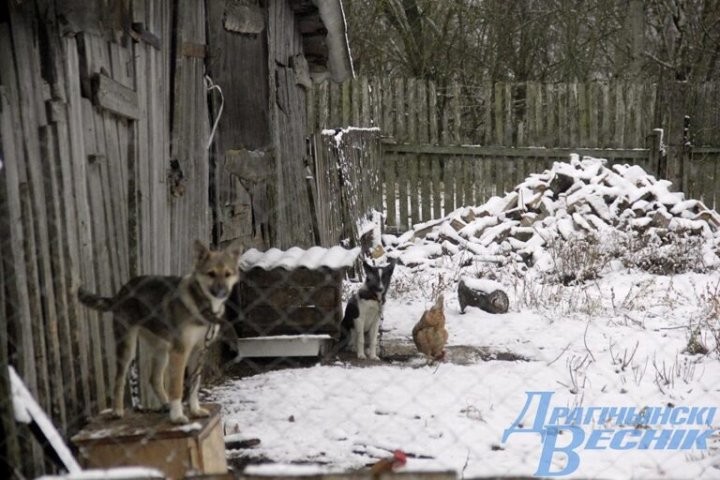 Помощь со всей страны. Как бабушка и ее 30 питомцев привлекли внимание зооволонтеров