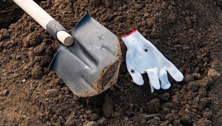 Фото из открытых источников (иллюстративное)