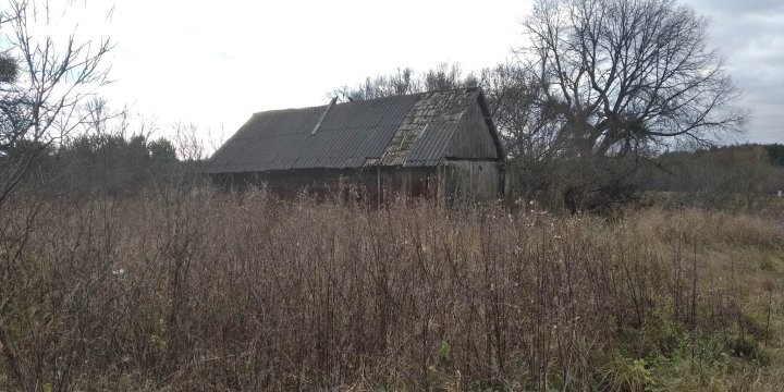 Хотите дом рядом с Беловежской пущей за 29 рублей? Вот как он выглядит