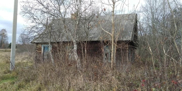 Хотите дом рядом с Беловежской пущей за 29 рублей? Вот как он выглядит