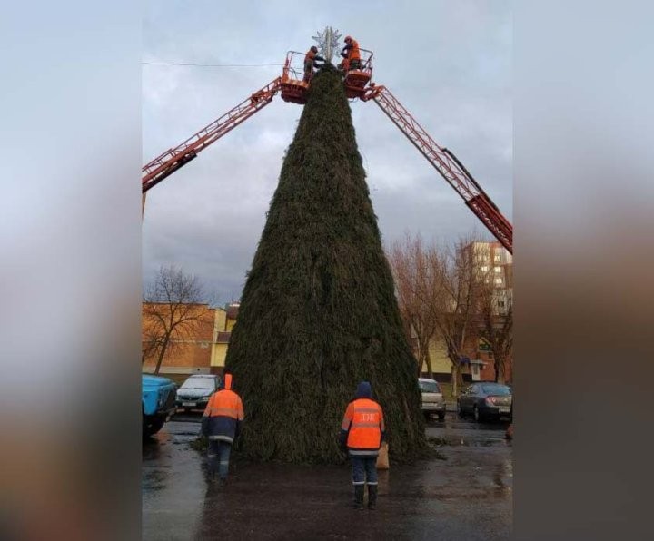 Что там с ёлкой на Ковалевке в Бресте? Комментарий ЖКХ
