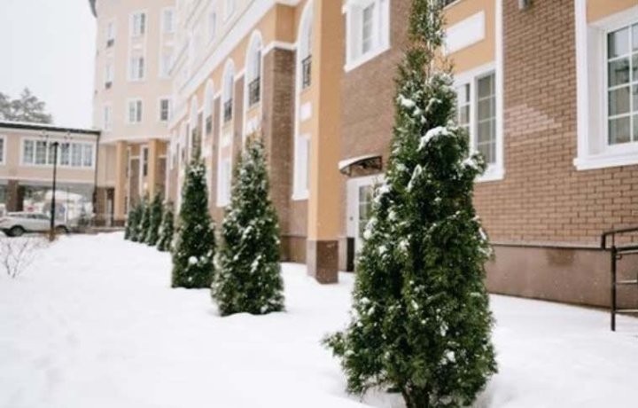 Фото: Инстаграм санатория «Плисса»