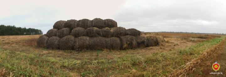 Оперативники из Ивацевичей установили, кому понадобились 12 рулонов сена