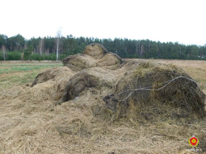 Оперативники из Ивацевичей установили, кому понадобились 12 рулонов сена