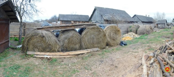 Оперативники из Ивацевичей установили, кому понадобились 12 рулонов сена