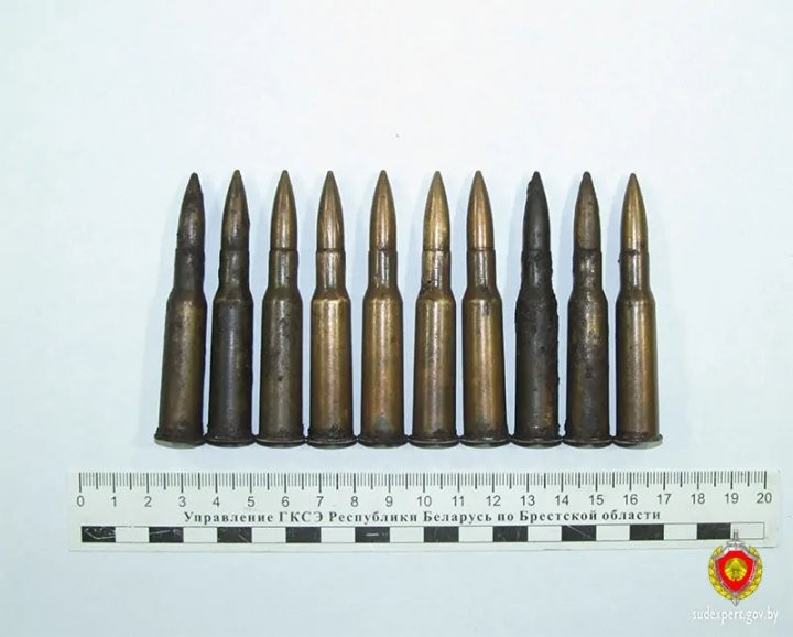 Житель Каменца нашел в лесу патроны и магазин к оружию