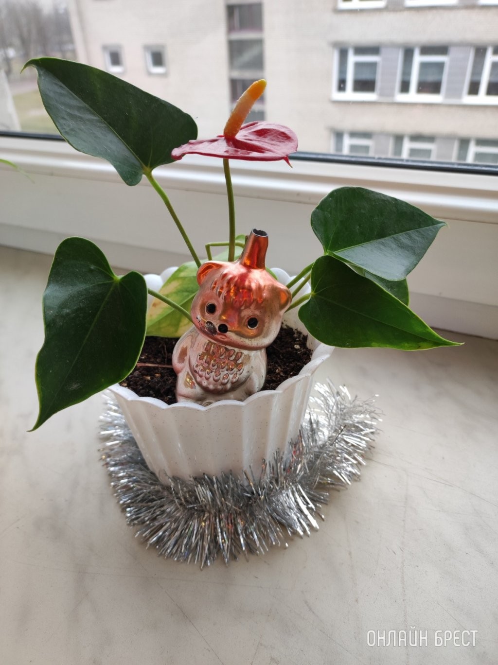 Создание новогодней атмосферы в ГУО «Гимназия №4 г. Бреста»