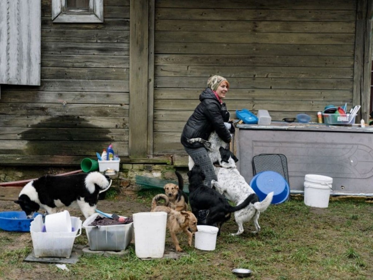 «Это было очень по-человечески». Зооцентры «Доктор Хвостов» и «ГлаМуррр» подвели итоги благотворительной акции в помощь бездомным животным
