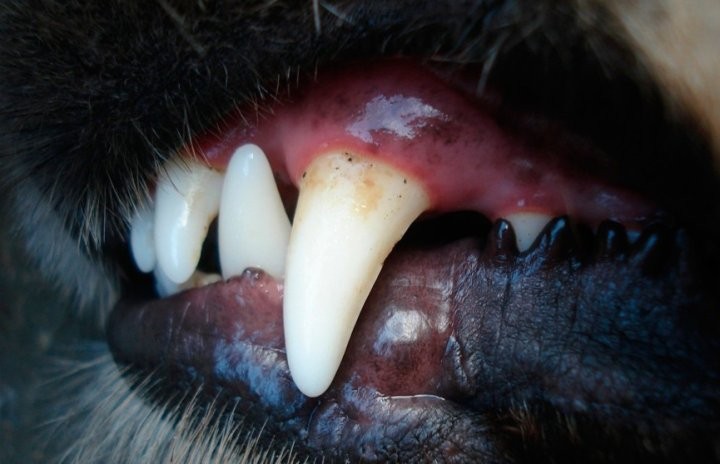 Фото из открытых источников (иллюстративное)