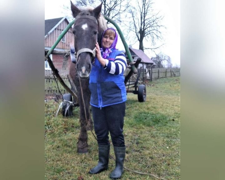 Вместо коровы выбрала лошадь. Жительница Каменецкого района знает о грациозных все и немного больше