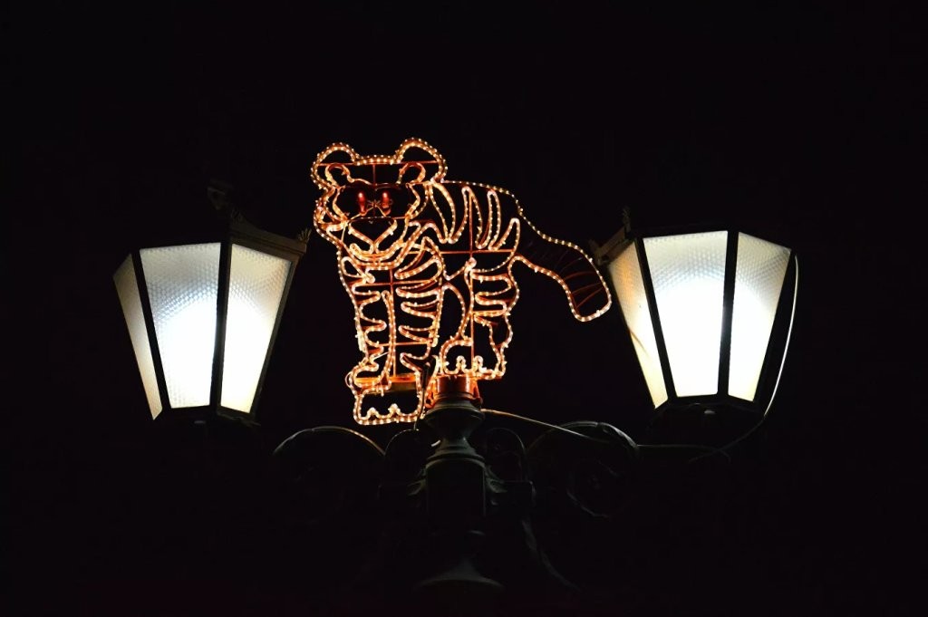 Новогодний Брест в фотографиях: как выглядит город перед праздниками