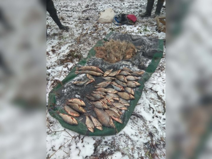 В Брестской области пресекли браконьерскую рыбалку