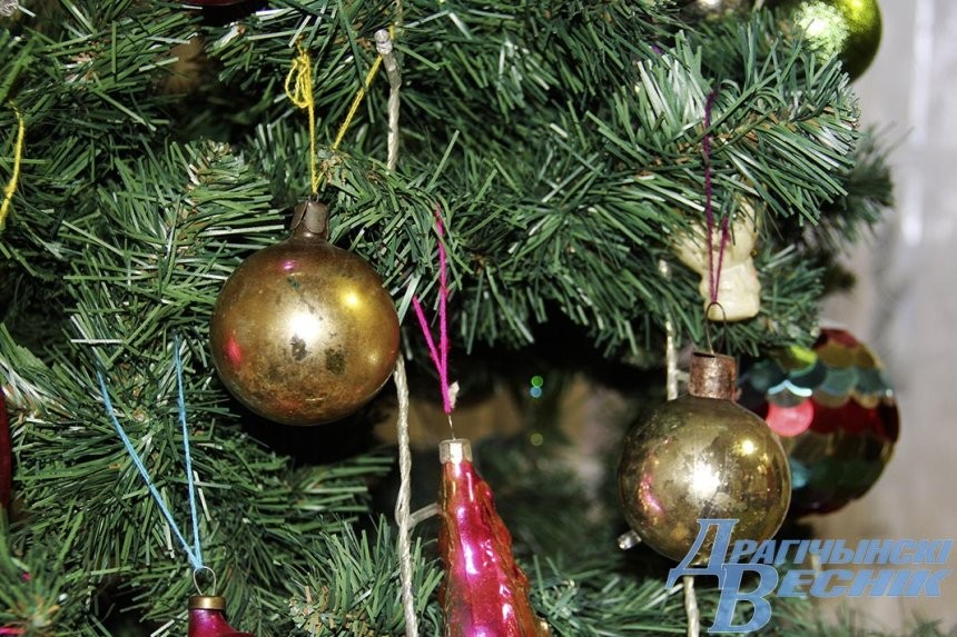 Семья из Антополя продолжает династию коллекционеров (Брестская область)