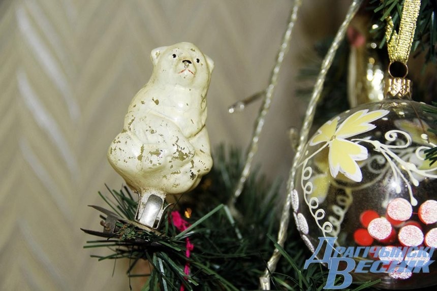 Семья из Антополя продолжает династию коллекционеров (Брестская область)