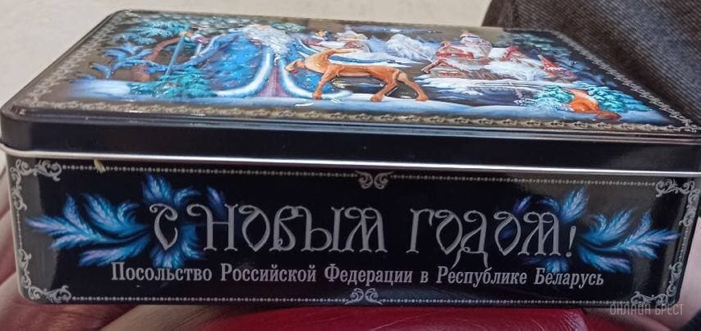В Брестском театре кукол прошло новогоднее представление для детей Российских соотечественников проживающих в Республике Беларусь