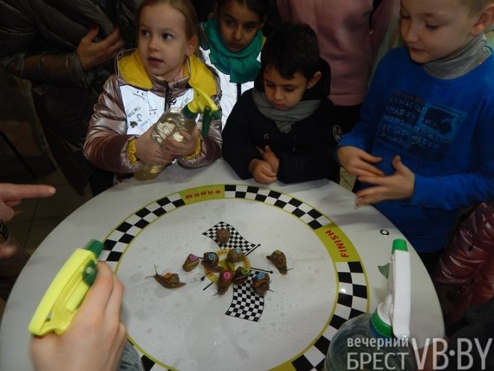 Улиточные бега под Новый год устроили креативные хозяева фермы в Брестском районе