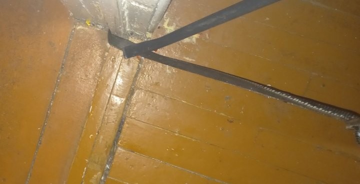 Змея заползла в частный дом в Брестской области