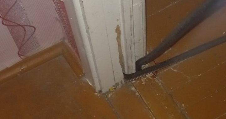 Змея заползла в частный дом в Брестской области