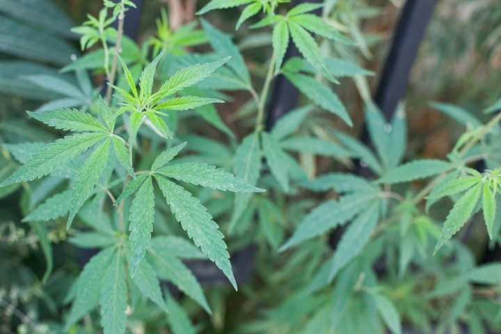 Фото из открытых источников (иллюстративное)