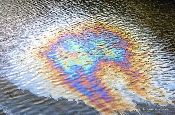 На поверхности реки в Бресте обнаружено пятно нефтепродуктов