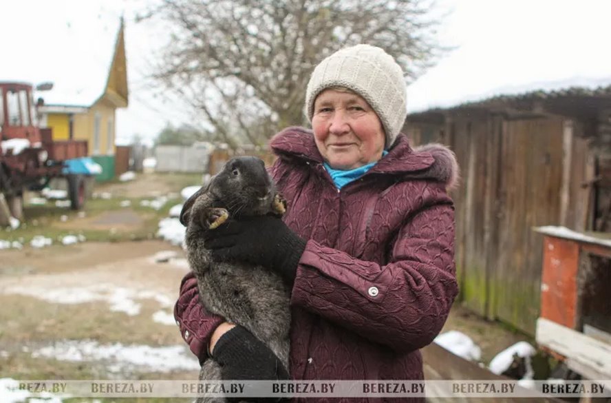 С пушистыми друзьями в новый год: как семья Медведь из Березовского района разводит кроликов