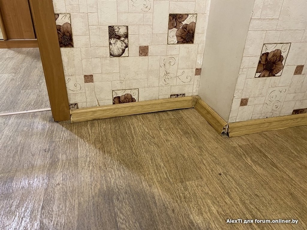 «А что вы хотели за 120 рублей?» Семья сняла квартиру на сутки в Минске и получила «гигиенический шок»