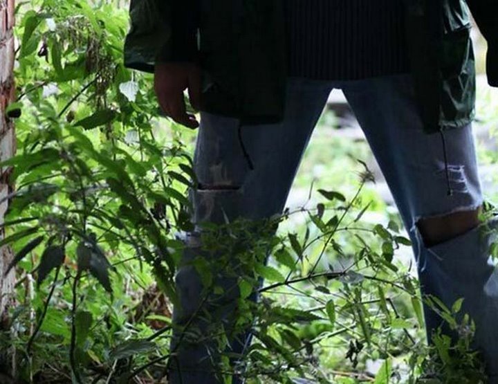 Фото из открытых источников (иллюстративное)