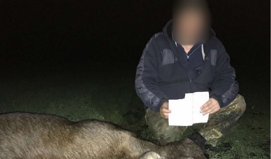 Незаконная охота в Столинском районе и ущерб свыше 57 тысяч рублей. Следователи раскрыли подробности