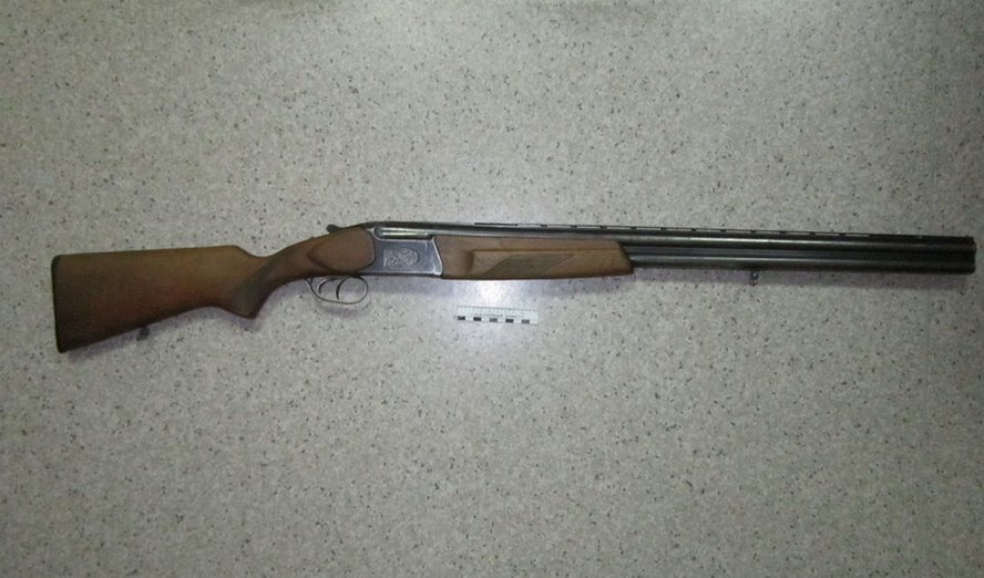 Незаконная охота в Столинском районе и ущерб свыше 57 тысяч рублей. Следователи раскрыли подробности