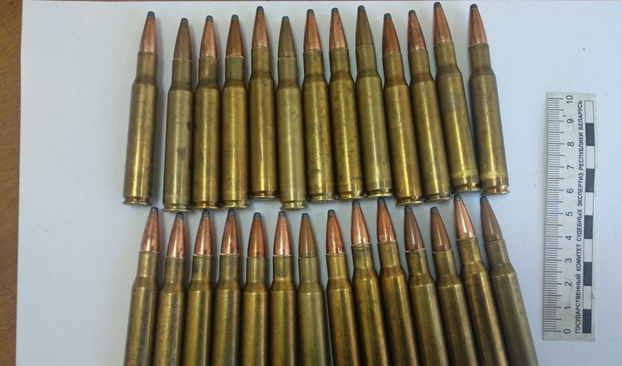 Незаконная охота в Столинском районе и ущерб свыше 57 тысяч рублей. Следователи раскрыли подробности