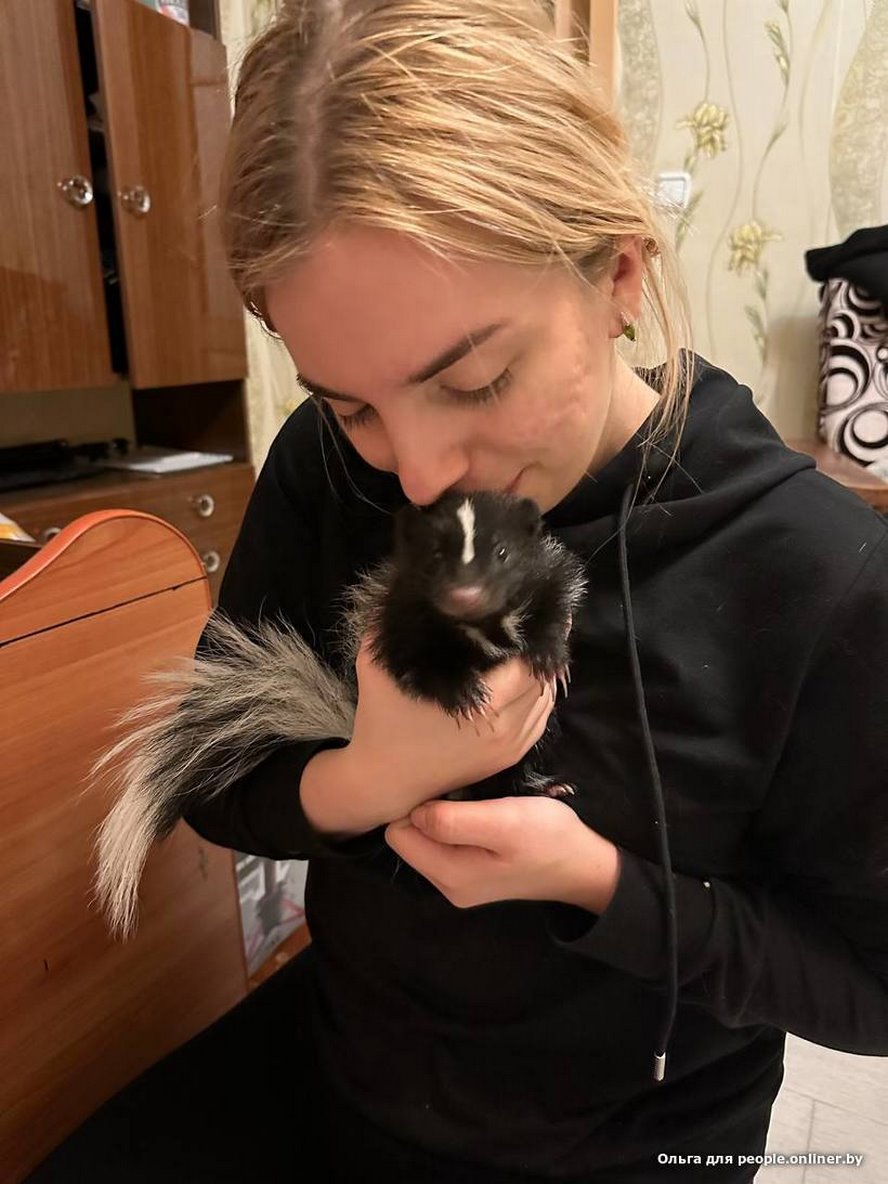 «Сладкая Булочка»: белоруска завела скунса и счастлива. А кто у вас?