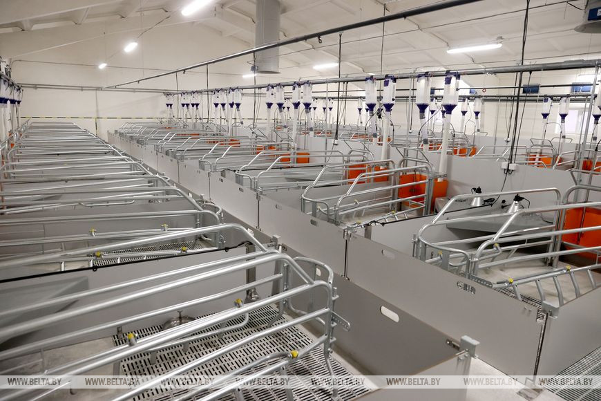 Новый свиноводческий комплекс построили в Пинском районе