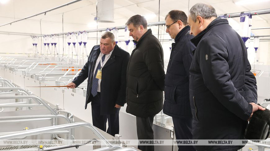 Новый свиноводческий комплекс построили в Пинском районе