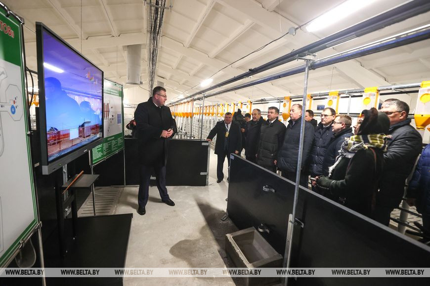 Новый свиноводческий комплекс построили в Пинском районе