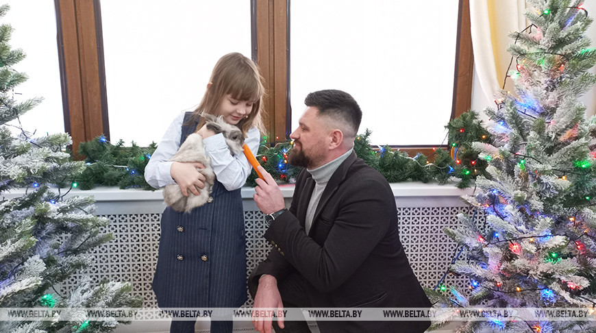 Шустрый, дружелюбный и может дать отпор: брестчане выбрали кролика-талисмана