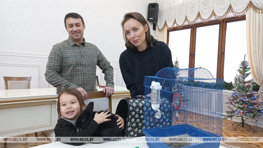 Шустрый, дружелюбный и может дать отпор: брестчане выбрали кролика-талисмана