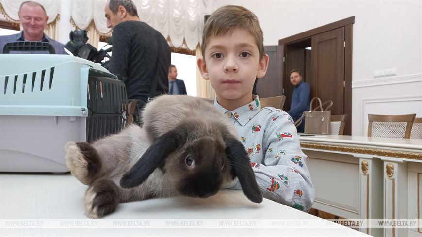 Шустрый, дружелюбный и может дать отпор: брестчане выбрали кролика-талисмана