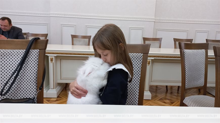 Шустрый, дружелюбный и может дать отпор: брестчане выбрали кролика-талисмана